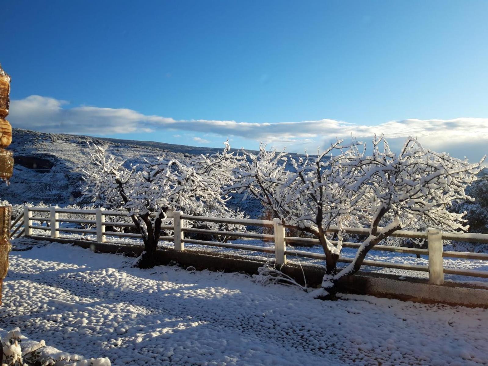 Laroles El Paraje Del Chef מראה חיצוני תמונה