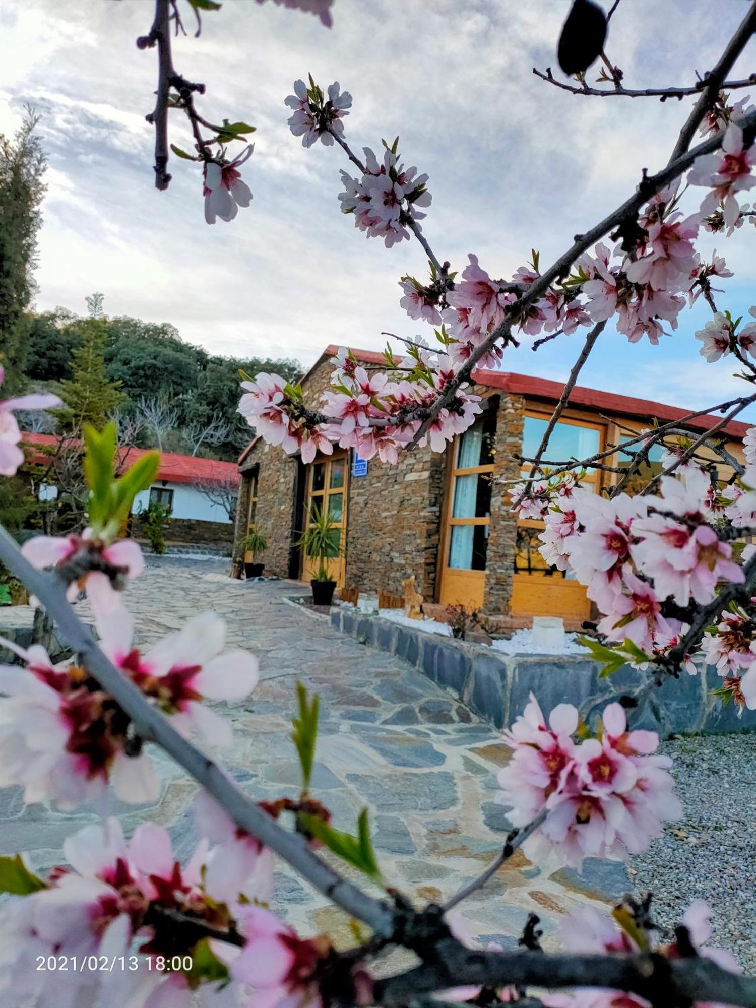 Laroles El Paraje Del Chef מראה חיצוני תמונה